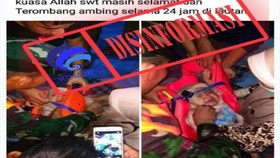 Bayi Selamat dari Kecelakaan Sriwijaya Air, Hoaks