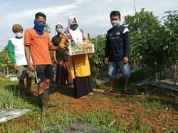 Warga Bangkalan Senang Bisa Kelola Lahan untuk Tanaman Holtikultura