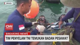 VIDEO: Tim Penyelam TNI Temukan Badan Pesawat