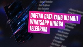 INFOGRAFIS: Daftar Data yang Diambil WhatsApp Hingga Telegram