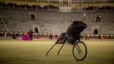 FOTO: Sekolah Matador, Bertahan Hadapi Pandemi dan Zaman Sekolah menjadi matador dalam budaya adu banteng di Spanyol berusaha bertahan menghadapi dua badai: pandemi dan penurunan minat.