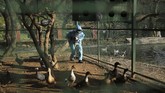 FOTO : Flu Burung Kembali Mewabah di India India kembali dilanda wabah flu burung ditandai dengan matinya ribuan burung di empat negara bagian.