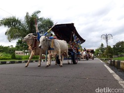 Bajingan Ternyata Nama Sebuah Profesi, Tapi Kenapa Sering Diucapkan sebagai Makian?