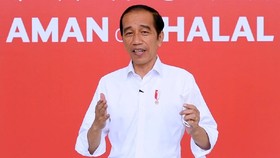 Jokowi Sebut RI Punya Peluang Kembangkan Produk Ekonomi Hijau