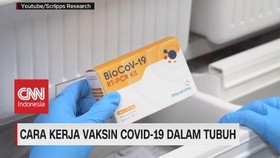 VIDEO: Cara kerja Vaksin Covid-19 Dalam Tubuh