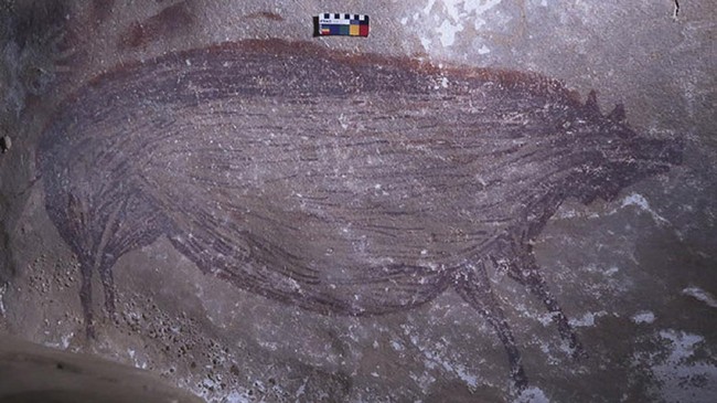 Tim arkeolog mengidentifikasi lukisan tertua dunia berupa babi kutil dan air liur di gua Leang Tedongnge Sulawesi Selatan.
