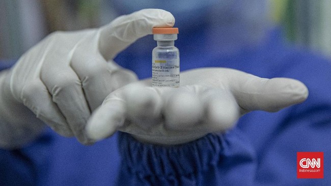 Nama kemasan dan jumlah dosis dalam satu dus vaksin corona siap pakai dari Sinovac berbeda dengan vaksin produksi PT Bio Farma.