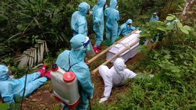 Satgas Duga Puncak Pertama Covid di Indonesia Terjadi Januari