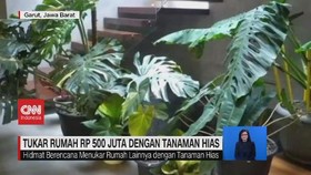 VIDEO: Tukar Rumah Rp 500 Juta dengan Tanaman Hias