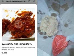 Ngenes! Pesan Ayam Goreng Pedas via Ojol, Tampilannya Jauh dari Ekspektasi