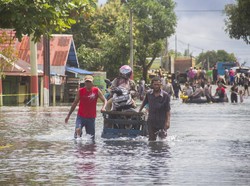 Update Banjir di Kalimantan Selatan: 2.600 Warga Mengungsi