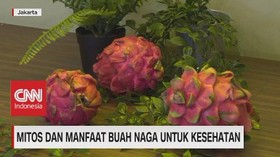 VIDEO: Mitos & Manfaat Buah Naga Untuk Kesehatan