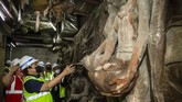 FOTO: Jelajah Temuan Relief Era Sukarno di Gedung Sarinah Jagat maya sedang hangat membicarakan relief bersejarah peninggalan masa pemerintahan Presiden Sukrano yang ditemukan di Gedung Sarinah, Jakarta.