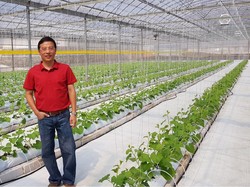 Jadi Petani, Eks Bos Disc Tarra Cerita Kisah Sukses Tanam Sayur