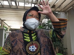 Mensos Risma Pantau Dampak Erupsi Gunung Semeru di Lumajang