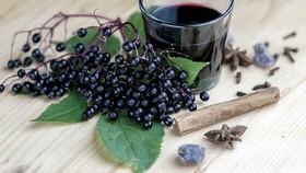 Elderberry, Buah Mungil Tinggi Antioksidan untuk Jaga Imun