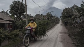 Gunung Semeru Muntahkan Awan Panas, Warga Diminta Evakuasi