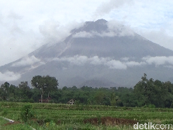Gunung Semeru Semburkan Awan Panas, Probolinggo Diguyur Hujan Abu
