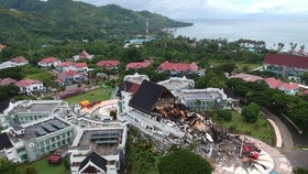 2 Hari Pencarian, Tim Temukan 81 Korban Tewas Gempa Sulbar