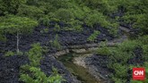 FOTO: Menjamah Hutan Karst Terbesar Ketiga di Dunia Sulawesi Selatan merupakan salah satu daerah di Indonesia yang memiliki beberapa destinasi wisata populer di Indonesia, salah satunya adalah Rammang-Rammang.