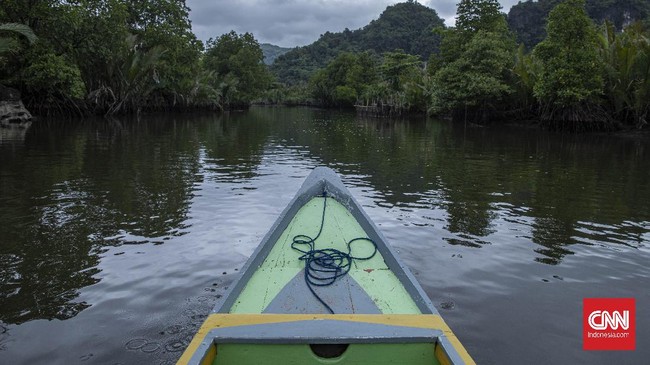 KLHK menyebut era Presiden Jokowi hanya berperan 9 persen dari total pelepasan kawasan hutan seluas lebih dari 6,7 juta hektare dalam 36 tahun terakhir.