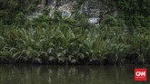 FOTO: Menjamah Hutan Karst Terbesar Ketiga di Dunia Sulawesi Selatan merupakan salah satu daerah di Indonesia yang memiliki beberapa destinasi wisata populer di Indonesia, salah satunya adalah Rammang-Rammang.