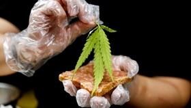 FOTO: Restoran di RS Thailand Sajikan Menu Ganja