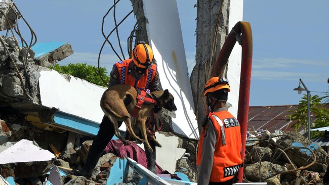 Lembaga Pusat Studi Gempa Sulawesi (PSGS) mengatakan Kota Mamuju, Sulbar menjadi daerah rawan gempa lantaran berada di daerah sesar aktif.