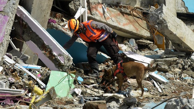 Basarnas melaporkan total sebanyak 90 orang meninggal dunia akibat gempa Sulbar. Basarnas juga melaporkan 3 orang dinyatakan hilang
