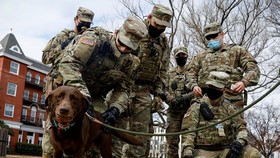 Diduga Ekstremis, 12 Tentara Kawal Pelantikan Biden Ditarik