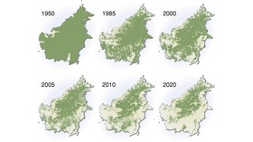 Ilmuwan Asing Sebut Industri Tambang RI Penghancur Hutan Terbesar