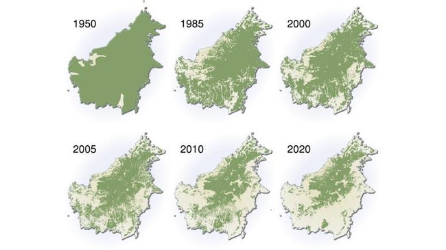 Sebuah peta menggambarkan laju deforestasi dan proyeksi deforestasi di Kalimantan beredar di media sosial seiring banjir besar yang terjadi di Kalsel.