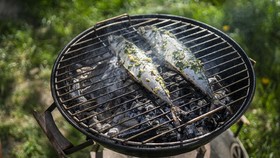 img-title Harganya Lebih Murah, Tapi Manfaat Ikan Kembung Mirip dengan Salmon
