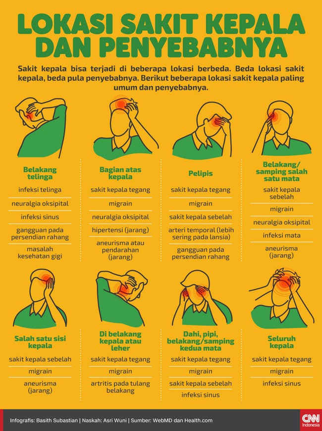 Infografis Lokasi Sakit Kepala Dan Penyebabnya