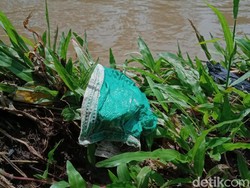 Pilah-pilih Sampah Medis Corona