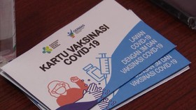 VIDEO: Alasan Penyintas Covid Tak Masuk Prioritas Vaksinasi