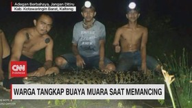 VIDEO: Warga Tangkap Buaya Muara saat Memancing