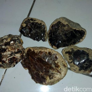 Disebut Gibran Bahan Parfum LV dan Gucci, Kemenyan RI Ternyata Laku di China-Prancis