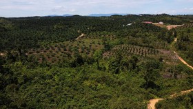 BPN: 1,2 Juta Hektare Lahan RI Terindikasi Terlantar