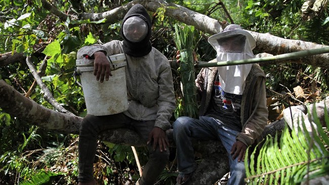 FOTO: Mengais Legitnya Madu Hutan Gunung Lendono