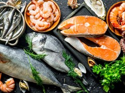 Berapa Batas Jumlah Konsumsi Protein dalam Sekali Makan?