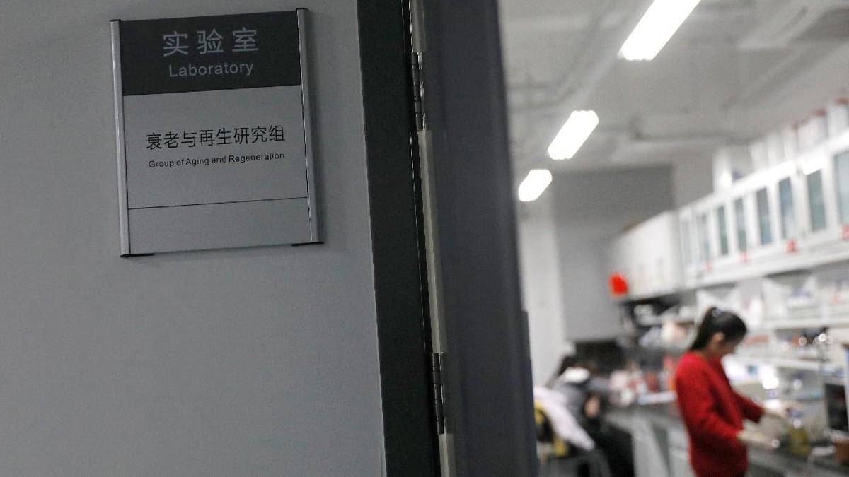 FOTO: China Buat Terapi Gen yang Dapat Menunda Penuaan