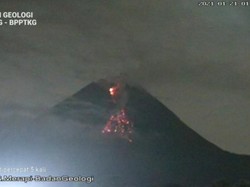 Gunung Merapi Muntahkan 19 Kali Awan Panas-282 Lava Pijar dalam Sepekan