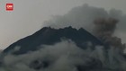 VIDEO: Dalam 24 Jam, Awan Panas Merapi Keluar 14 Kali