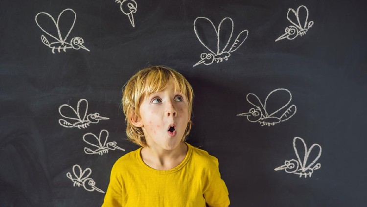 The boy is bitten by mosquitoes on a dark background. On the blackboard with chalk painted mosquitoes.
