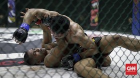 Antara MMA dan Tinju: Mana Lebih Mematikan?