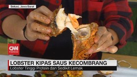 VIDEO: Lobster Kipas Saus Kecombrang