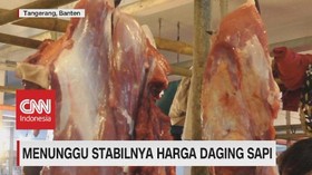 VIDEO: Menunggu Stabilnya Harga Daging Sapi