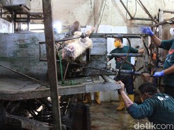 Harga Sapi Naik, RPH Kabupaten Bandung Tetap Bergeliat
