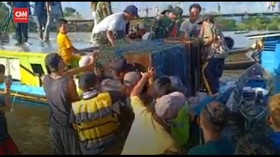 VIDEO: Tinggal Mengungsi, Buaya di Kalsel Dievakuasi Petugas